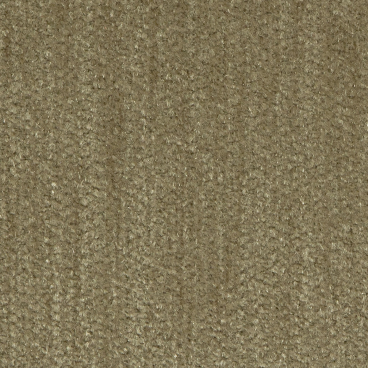 Balsam Court Taupe